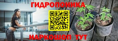 дживик Заводоуковск