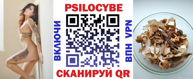 цена наркотик  Новочеркасск  Псилоцибиновые грибы Psilocybine cubensis 