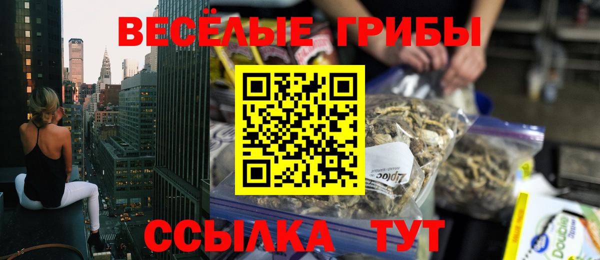 Галлюциногенные грибы прущие грибы  Вход с VPN  Новочеркасск 
